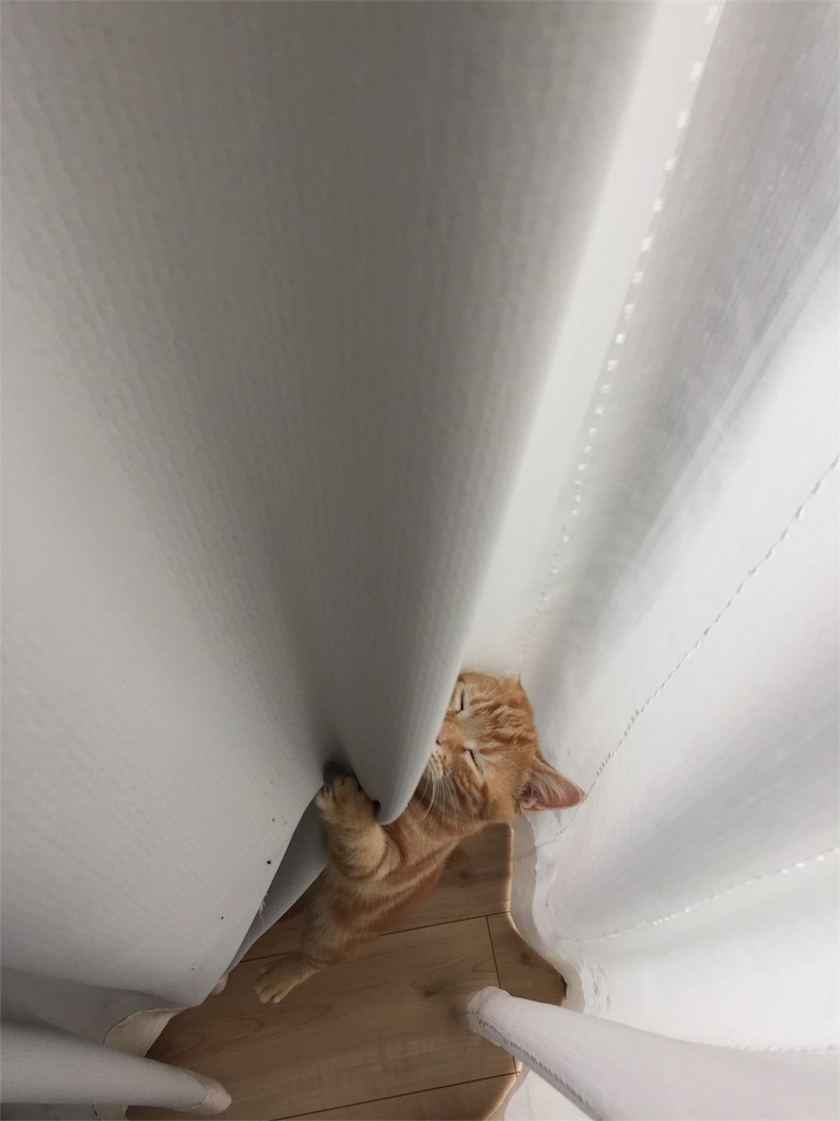 f:id:kotaro-nyan:20170924085522j:image