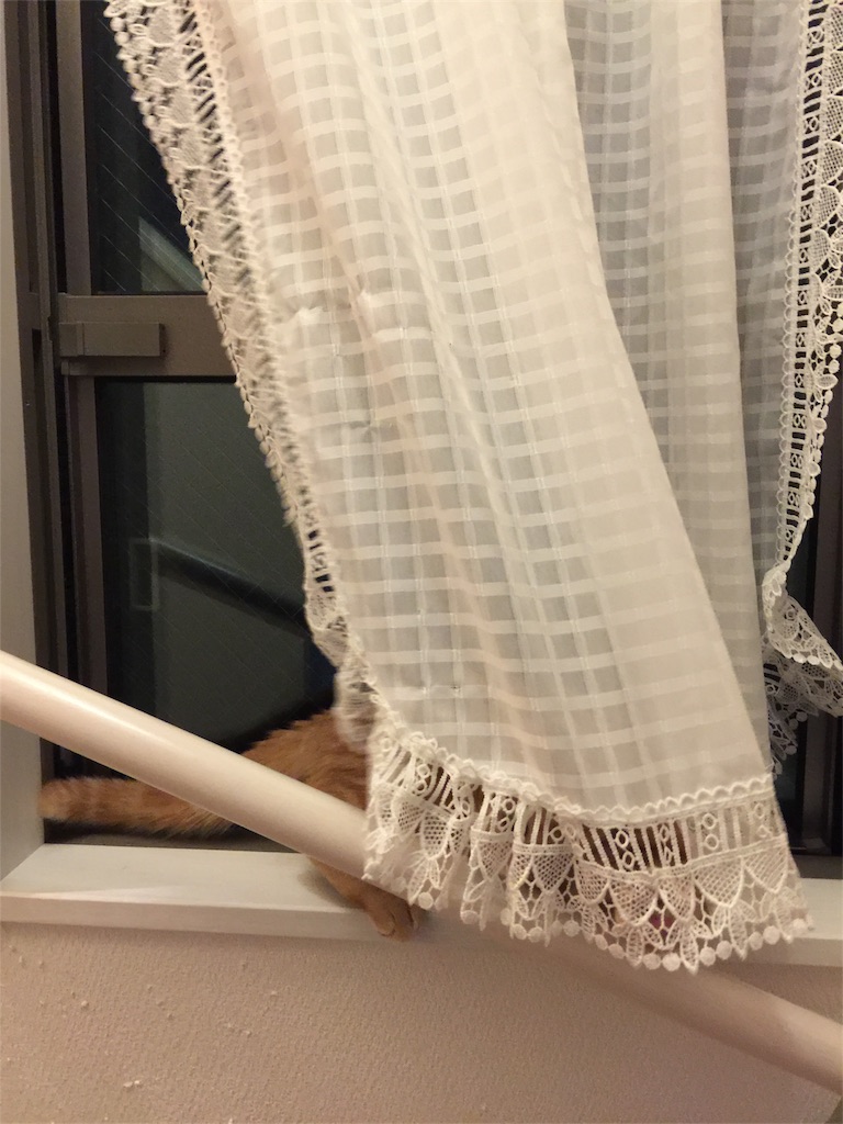 f:id:kotaro-nyan:20170930234736j:image