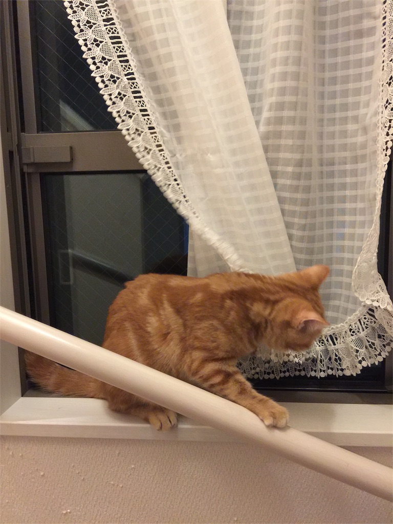 f:id:kotaro-nyan:20170930234752j:image