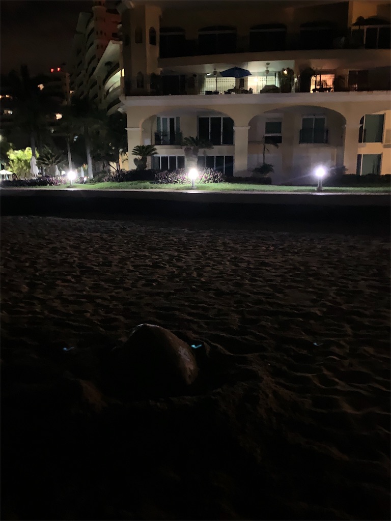 f:id:kotaro0123:20190810005047j:image f:id:kotaro0123:20190810005047j:image