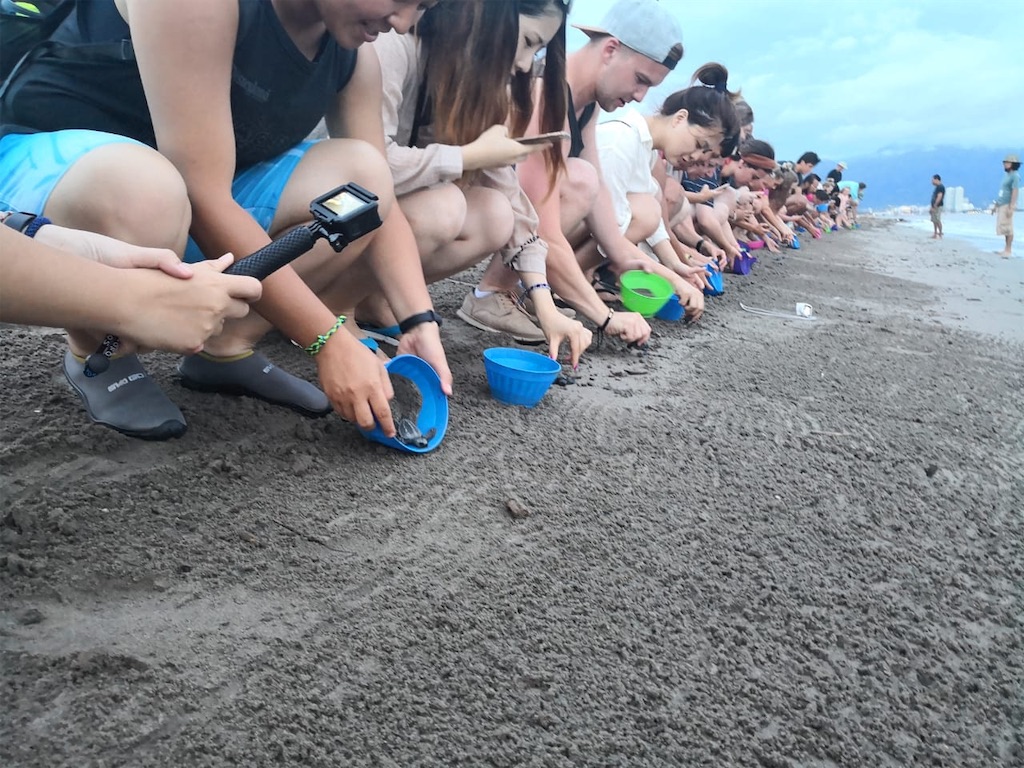 f:id:kotaro0123:20190810011458j:image f:id:kotaro0123:20190810011458j:image