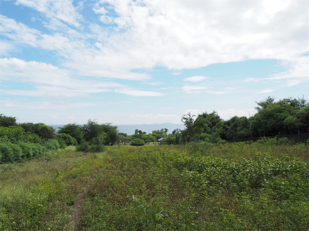 f:id:kotaro0123:20191128225134j:image