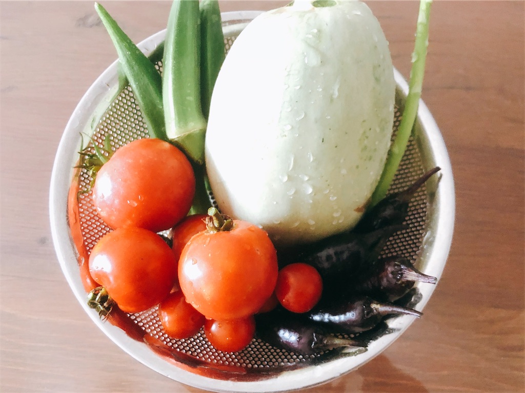 f:id:kotaro1538:20200812122140j:image