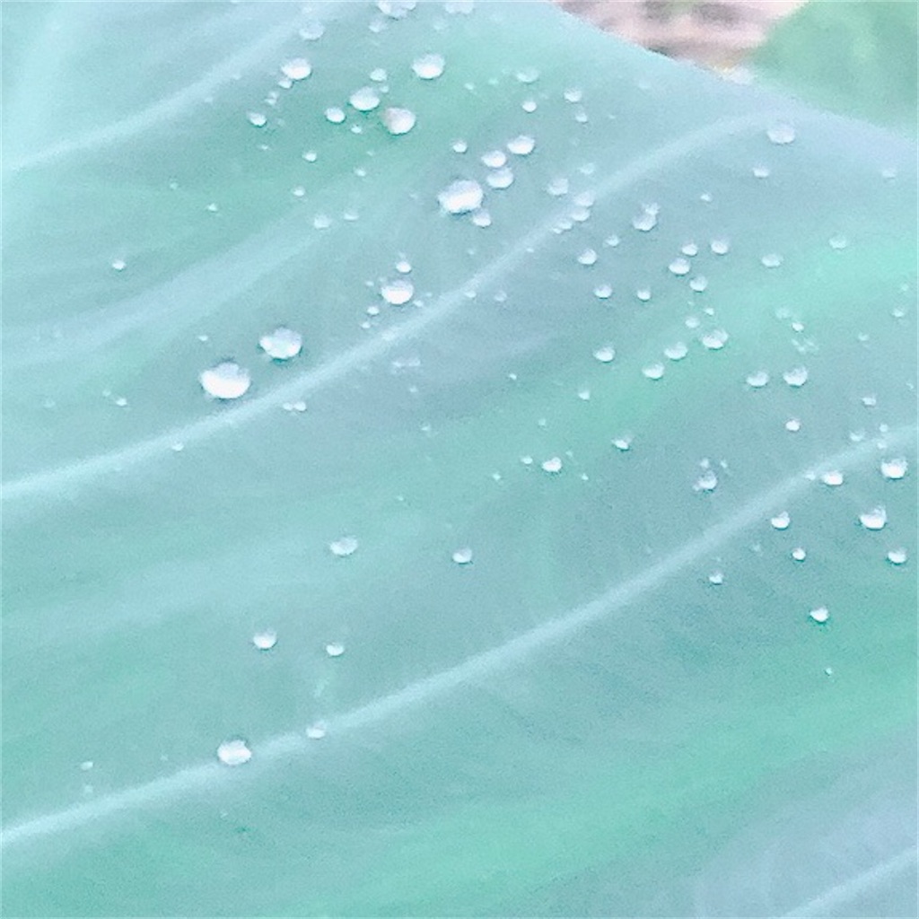 f:id:kotaro1538:20201005113745j:image
