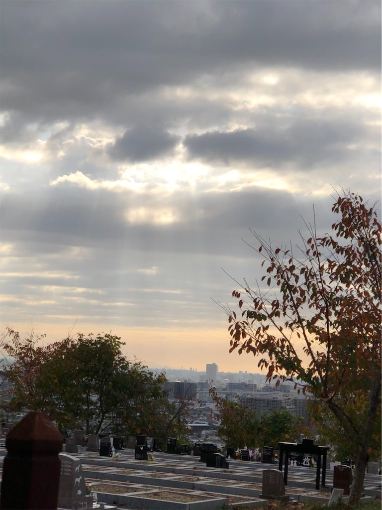 f:id:kotaro1538:20201123134614j:image f:id:kotaro1538:20201123134614j:image