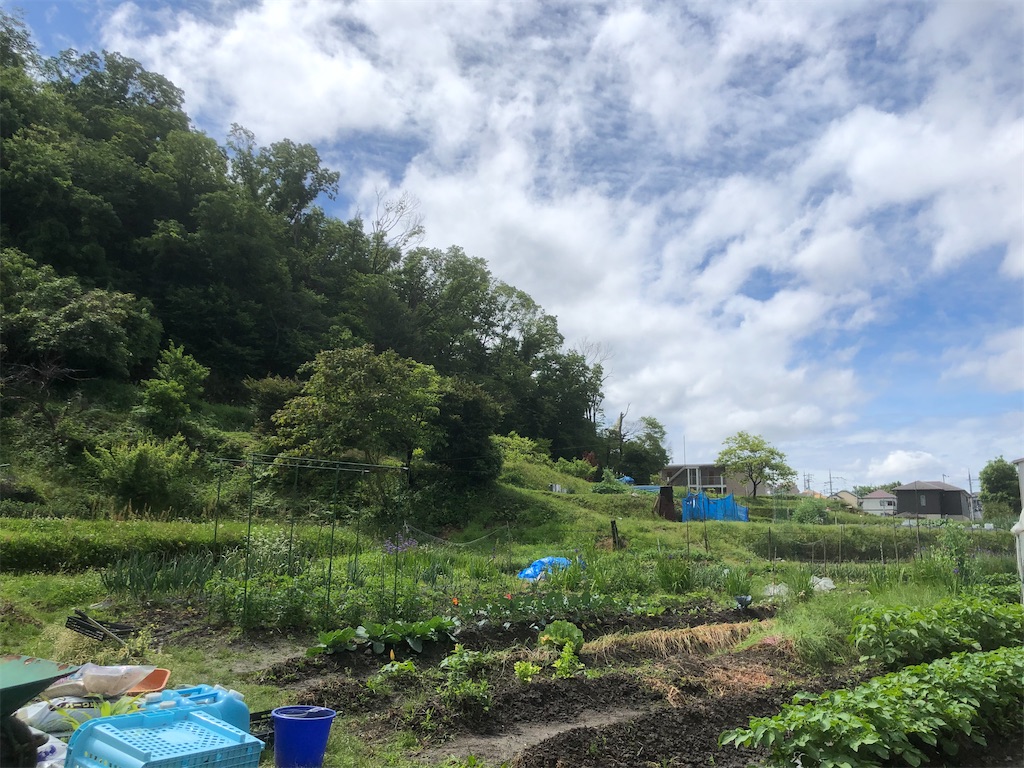 f:id:kotaro1538:20210513232323j:image