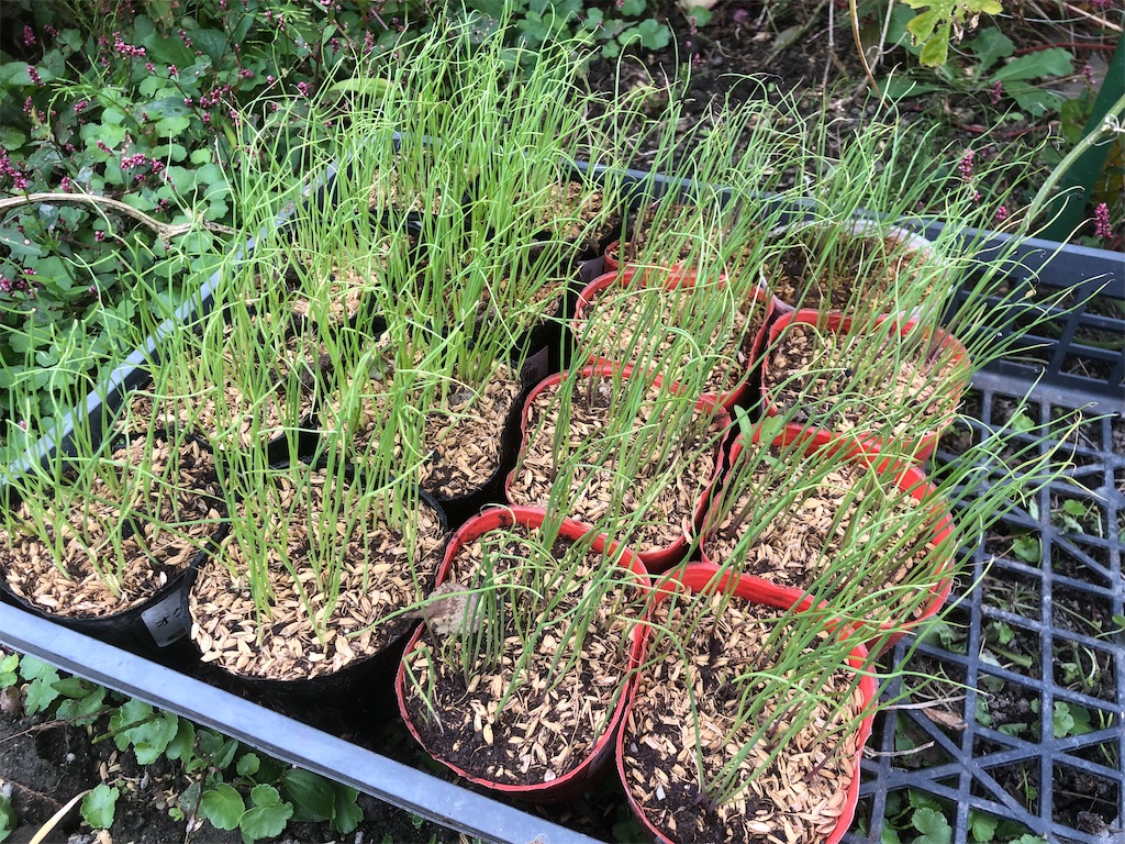 f:id:kotaro1538:20211024175141j:image