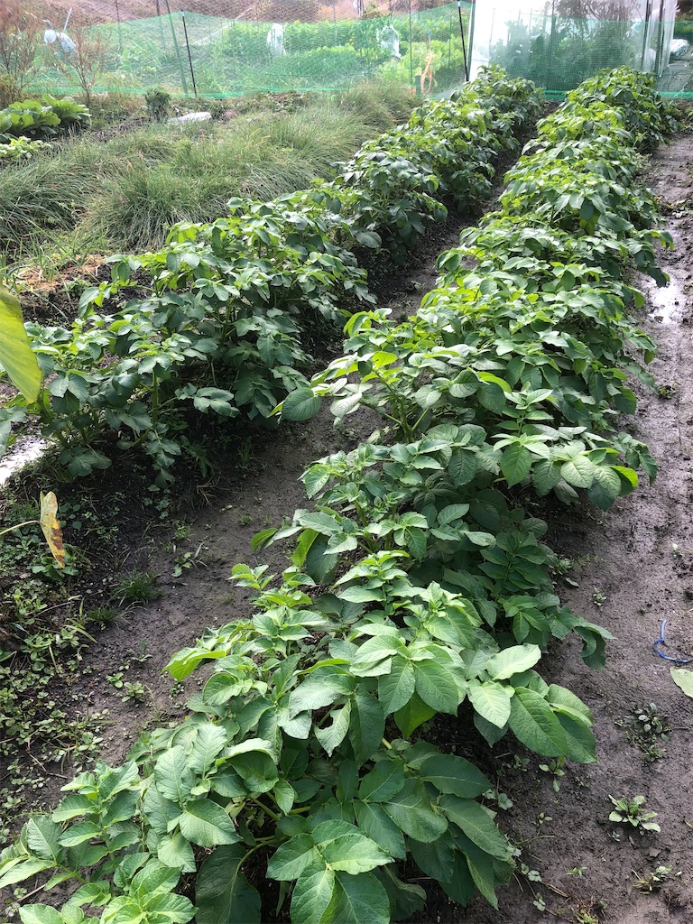 f:id:kotaro1538:20211118113432j:image