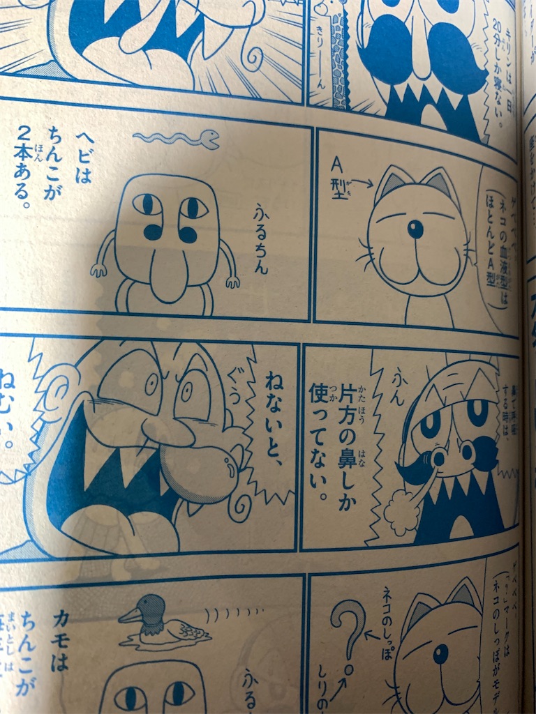 f:id:kotarodayo1126:20210905175331j:image f:id:kotarodayo1126:20210905175331j:image