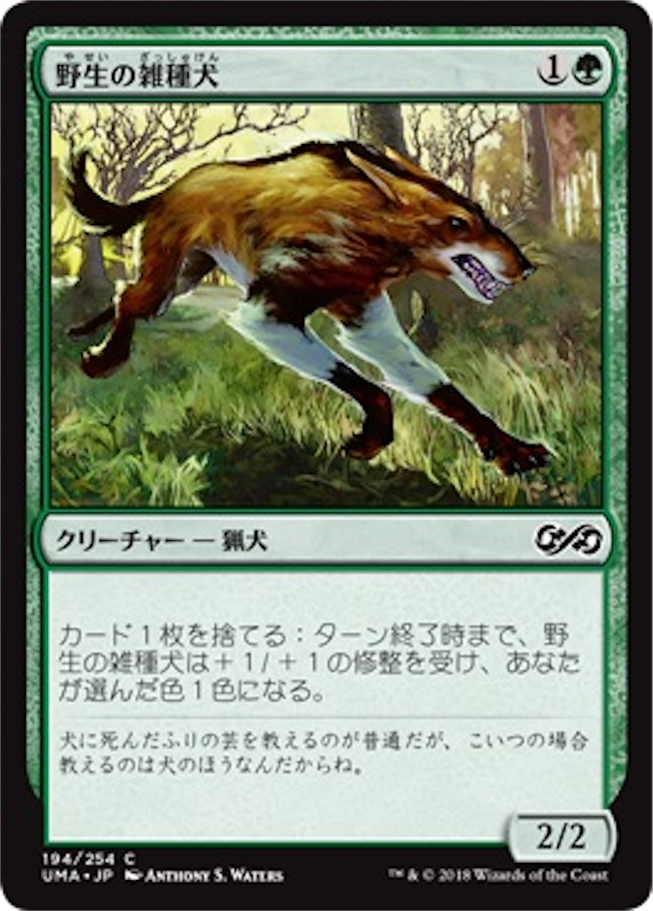 f:id:kotarokamisama:20260628084012j:image f:id:kotarokamisama:20260628084012j:image