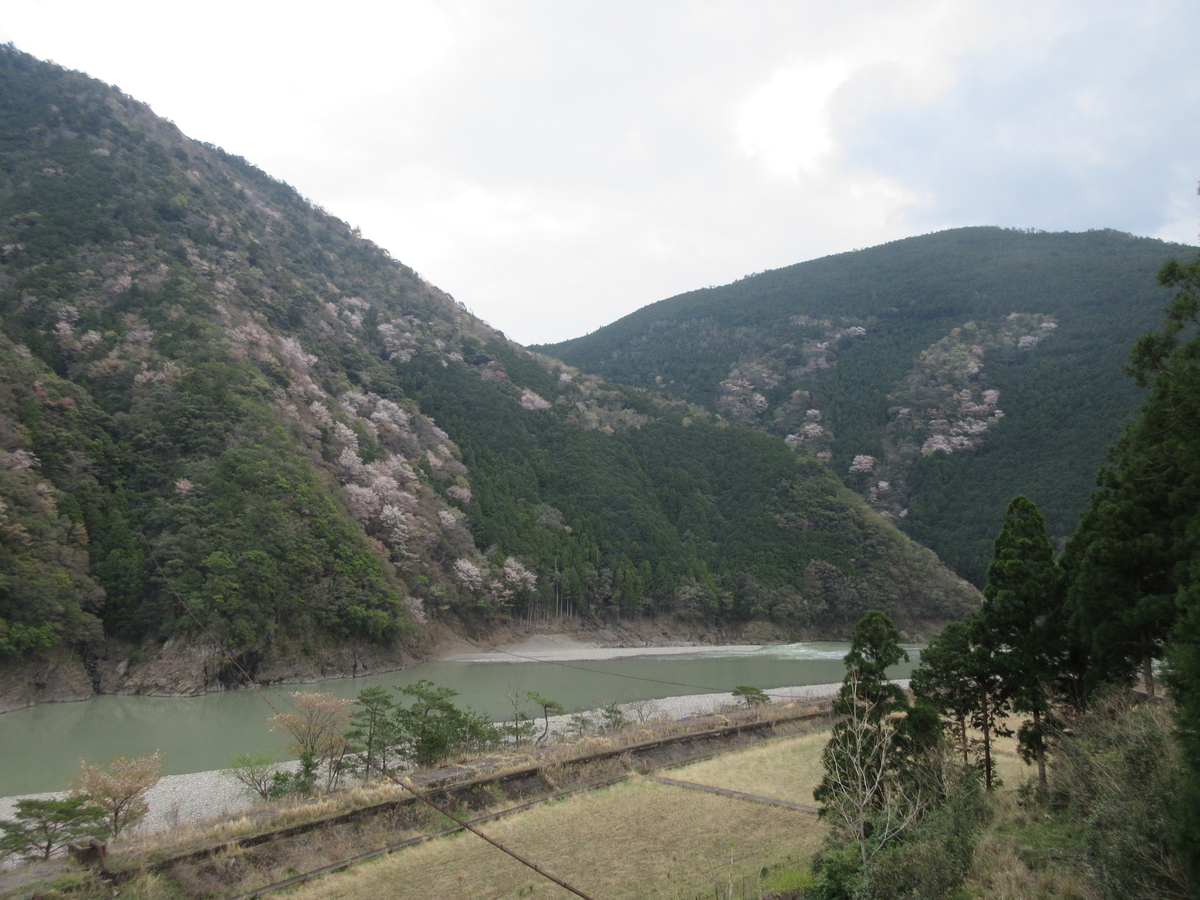 f:id:kotarosandayone:20210815182627j:plain