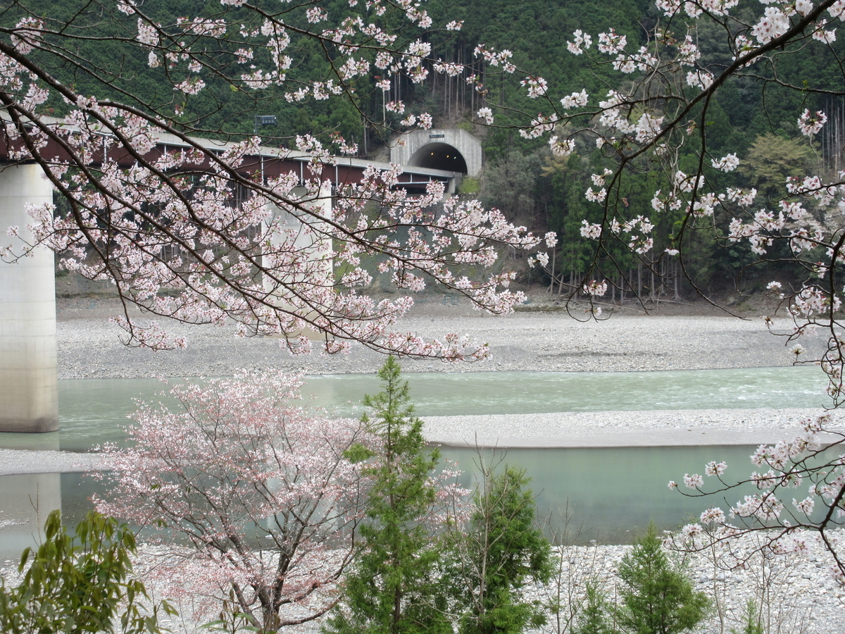 f:id:kotarosandayone:20210815182852j:plain