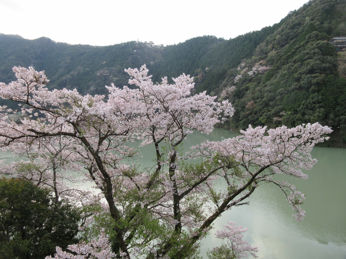 f:id:kotarosandayone:20210815191119j:plain