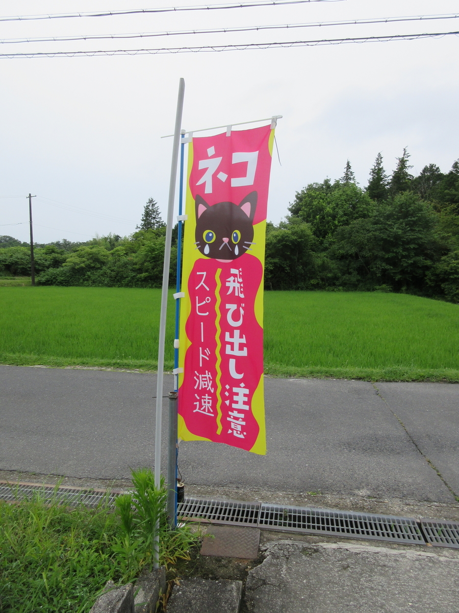 f:id:kotarosandayone:20210924004138j:plain
