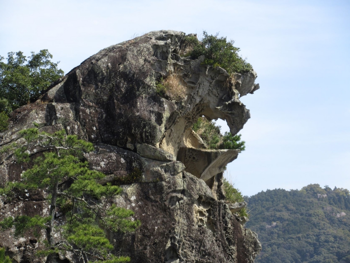 熊野市の世界遺産「鬼ヶ城」🌸🏔🌊 完全攻略本（本じゃない）その①