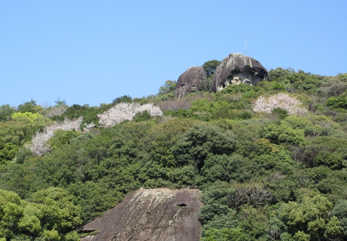熊野市の世界遺産「鬼ヶ城」🌸🏔🌊 完全攻略本（本じゃない）その①