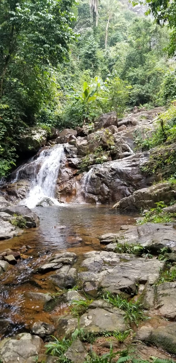 f:id:kotarou39:20191201171226j:plain