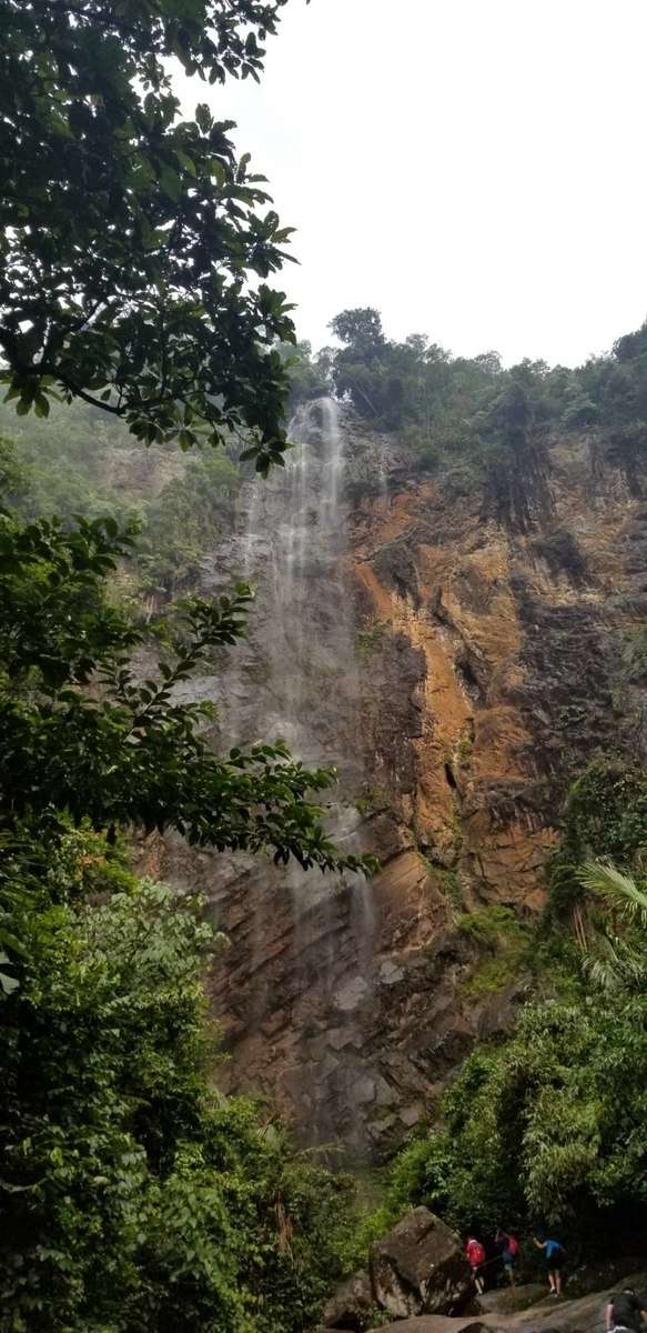 f:id:kotarou39:20191201171545j:plain