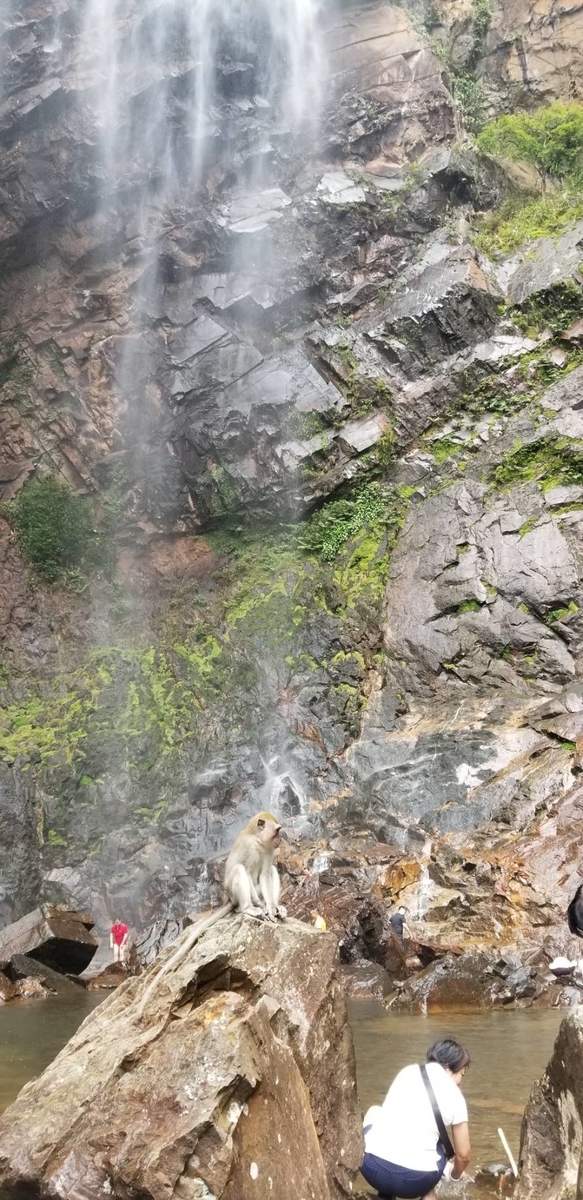 f:id:kotarou39:20191201171841j:plain