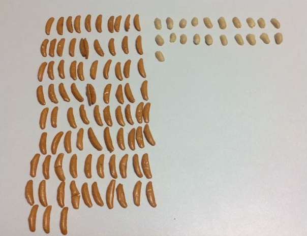 f:id:kotarou_gohan:20200722211719j:plain