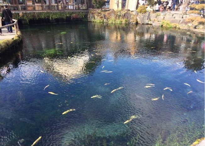 f:id:kotarou_gohan:20200823115814j:plain