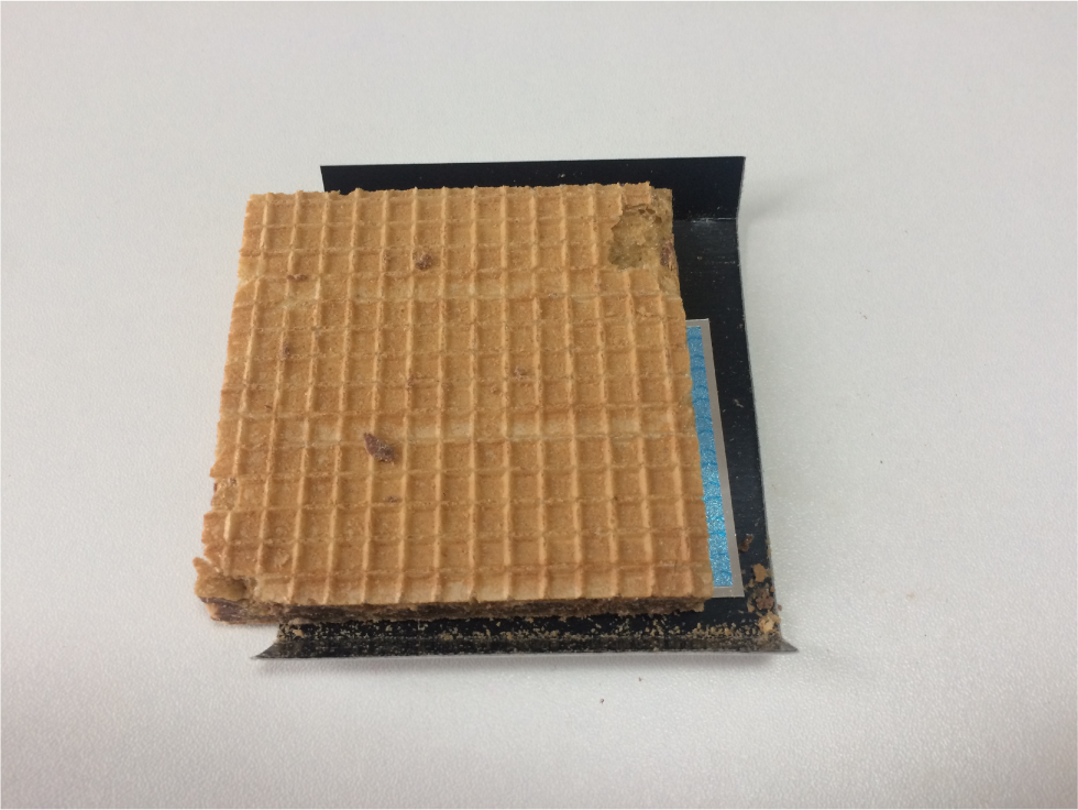 f:id:kotarou_gohan:20201107121348j:plain