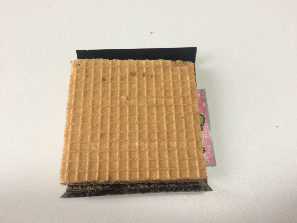 f:id:kotarou_gohan:20201107123744j:plain