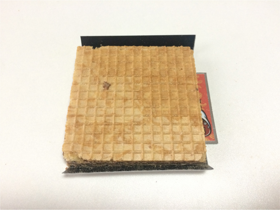 f:id:kotarou_gohan:20201107153959j:plain