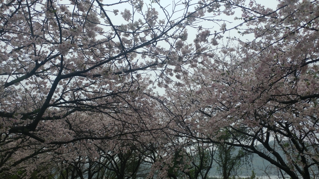 f:id:kotaroujapan:20170412155517j:plain f:id:kotaroujapan:20170412155517j:plain