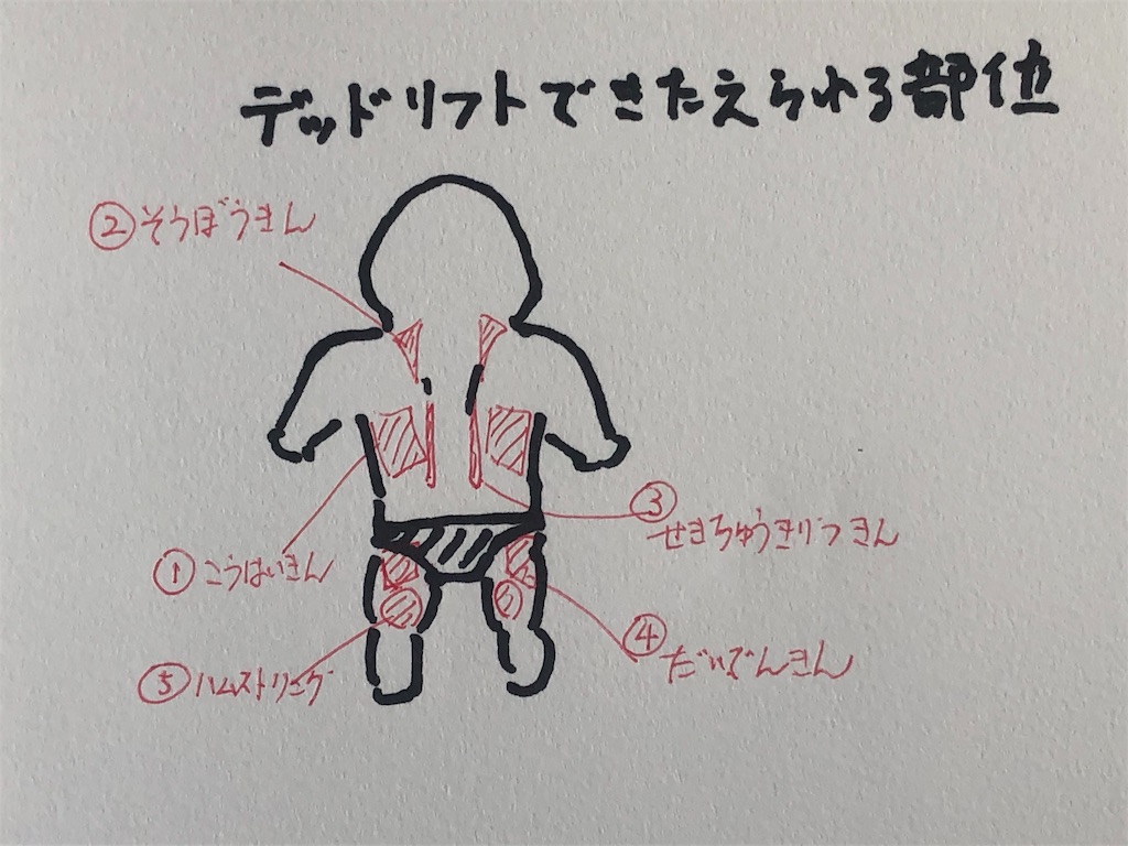 f:id:kotasanpo:20190623145652j:image