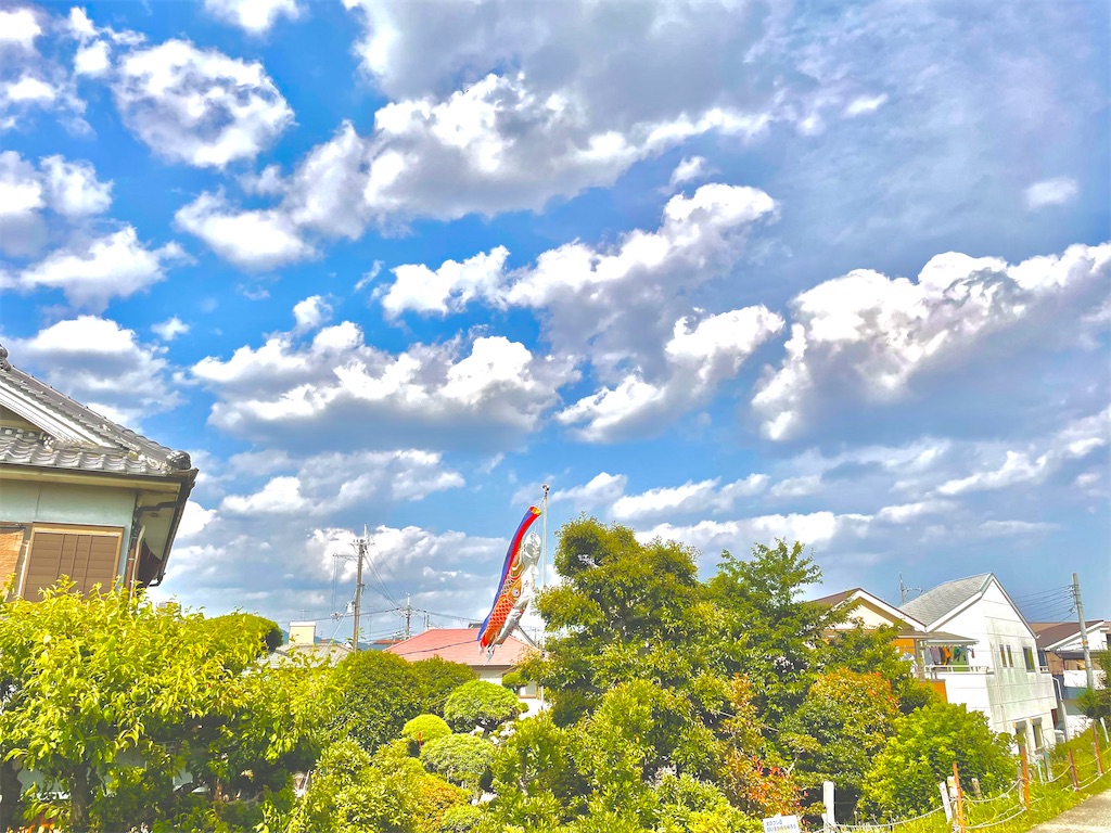 f:id:kotatsu37:20220529030516j:image f:id:kotatsu37:20220529030516j:image