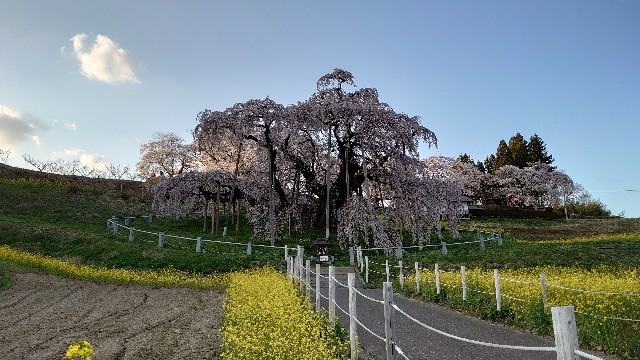 f:id:kotatsugame:20210405233040j:plain