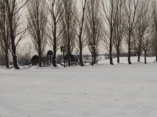 3歳 1歳と一緒に冬の サッポロさとらんど で雪遊び こたつでみかん子育て日記