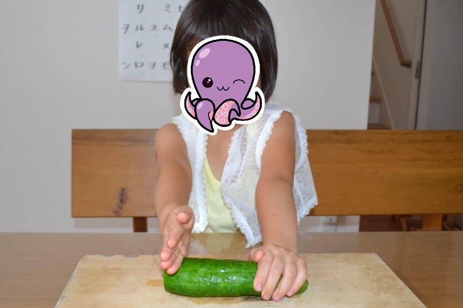 f:id:kotatsumama:20200624125945j:plain f:id:kotatsumama:20200624125945j:plain