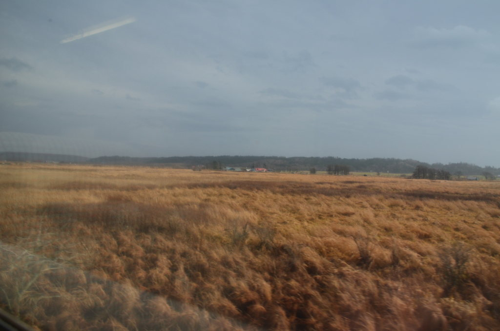 f:id:kotatusima:20171121233552j:plain