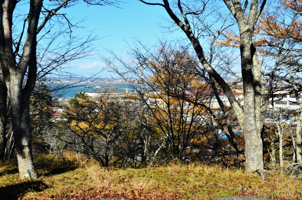 f:id:kotatusima:20171122225021j:plain