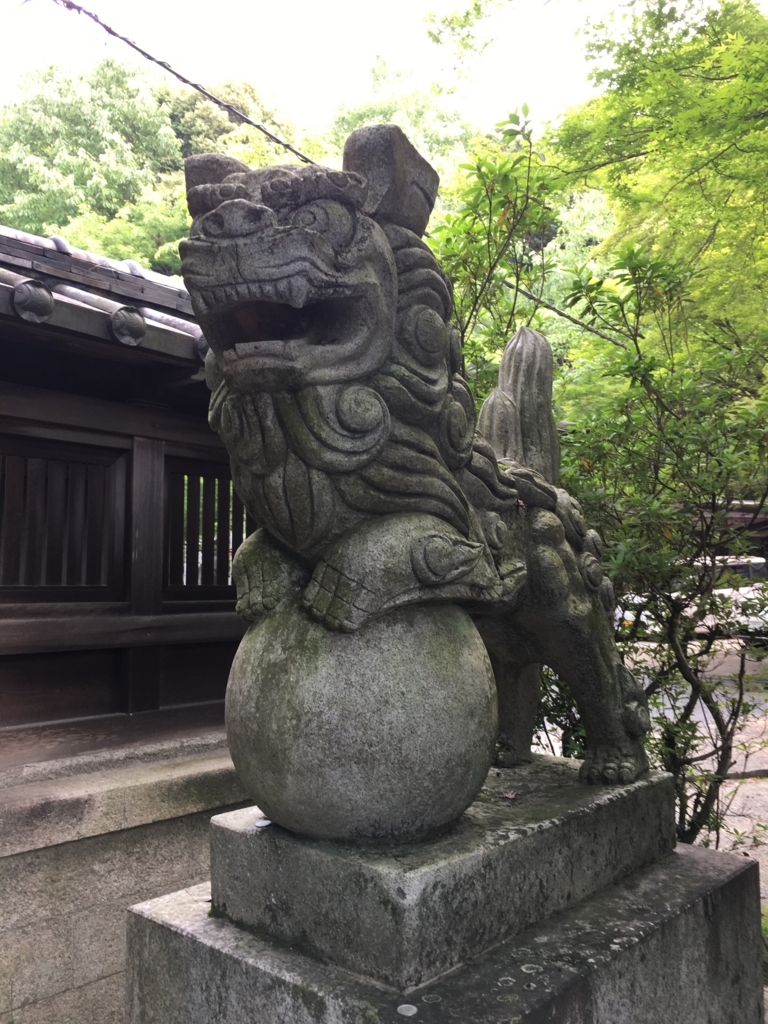 f:id:kotatusima:20180520104357j:plain f:id:kotatusima:20180520104357j:plain