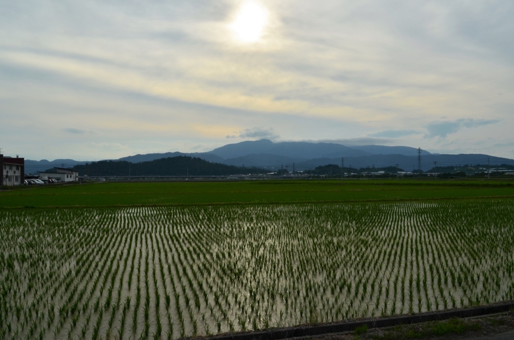 f:id:kotatusima:20180715213108j:plain