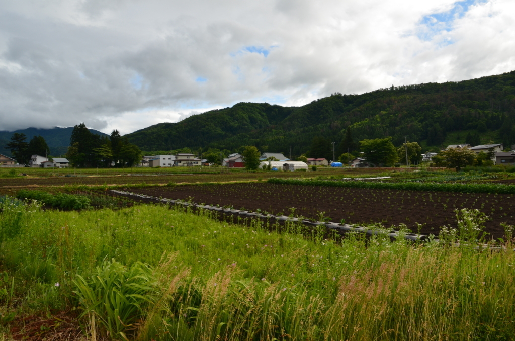 f:id:kotatusima:20180728234828j:plain f:id:kotatusima:20180728234828j:plain