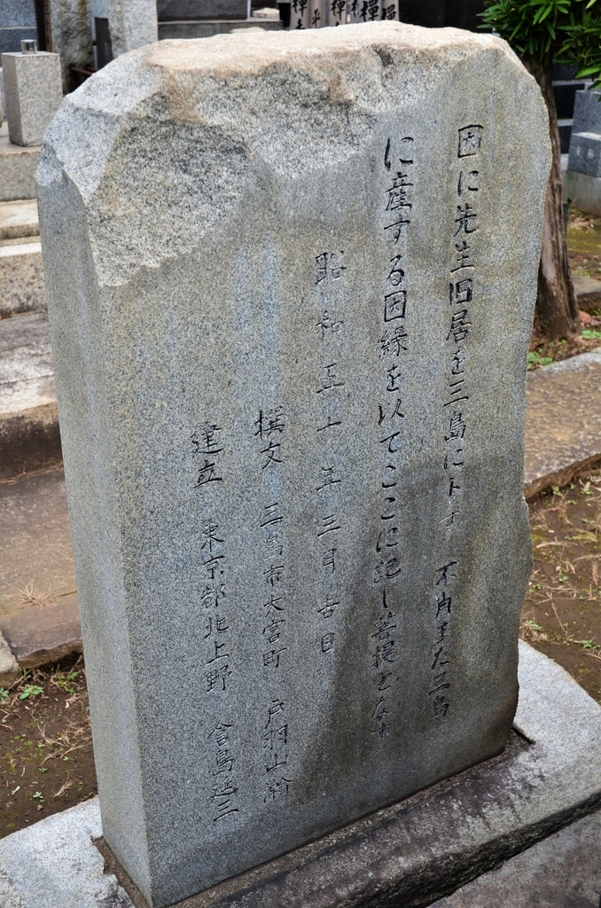f:id:kotatusima:20181125115801j:plain f:id:kotatusima:20181125115801j:plain