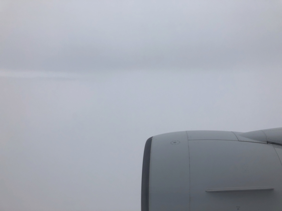 f:id:kotatusima:20190515211723j:plain f:id:kotatusima:20190515211723j:plain