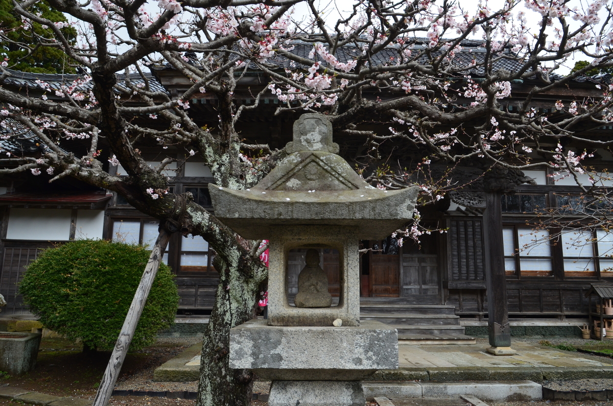 f:id:kotatusima:20190515221447j:plain f:id:kotatusima:20190515221447j:plain