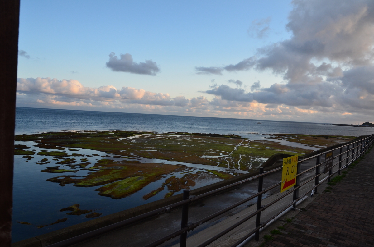 f:id:kotatusima:20190517141252j:plain f:id:kotatusima:20190517141252j:plain