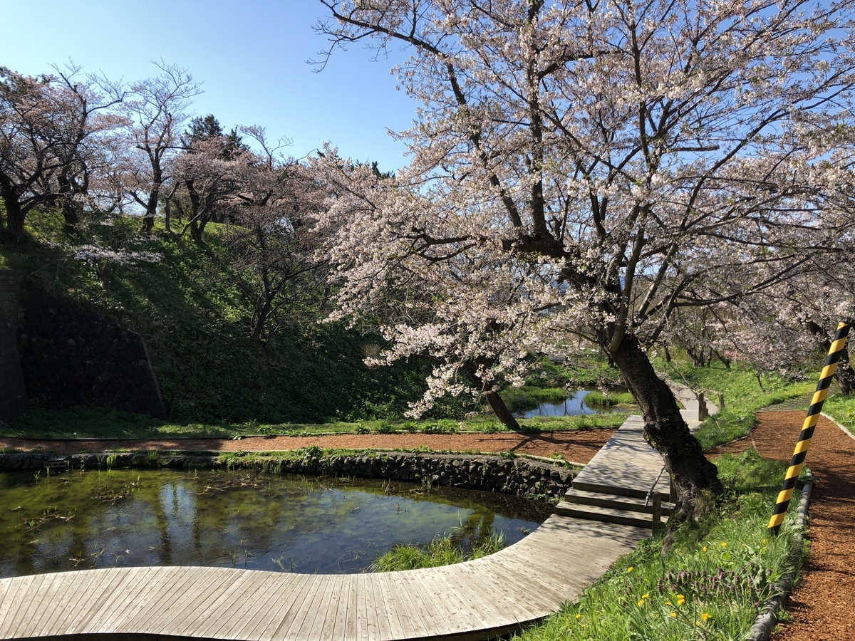 f:id:kotatusima:20190517200647j:plain f:id:kotatusima:20190517200647j:plain