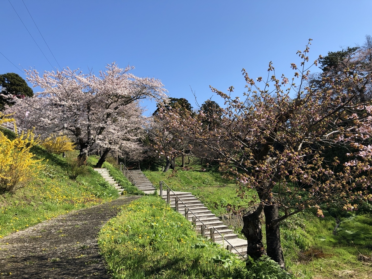 f:id:kotatusima:20190517200652j:plain f:id:kotatusima:20190517200652j:plain