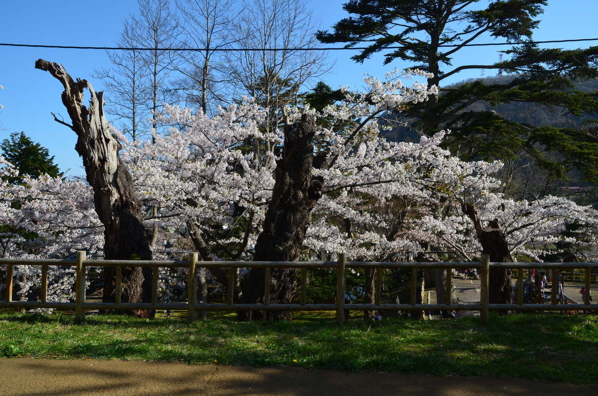 f:id:kotatusima:20190517210418j:plain f:id:kotatusima:20190517210418j:plain