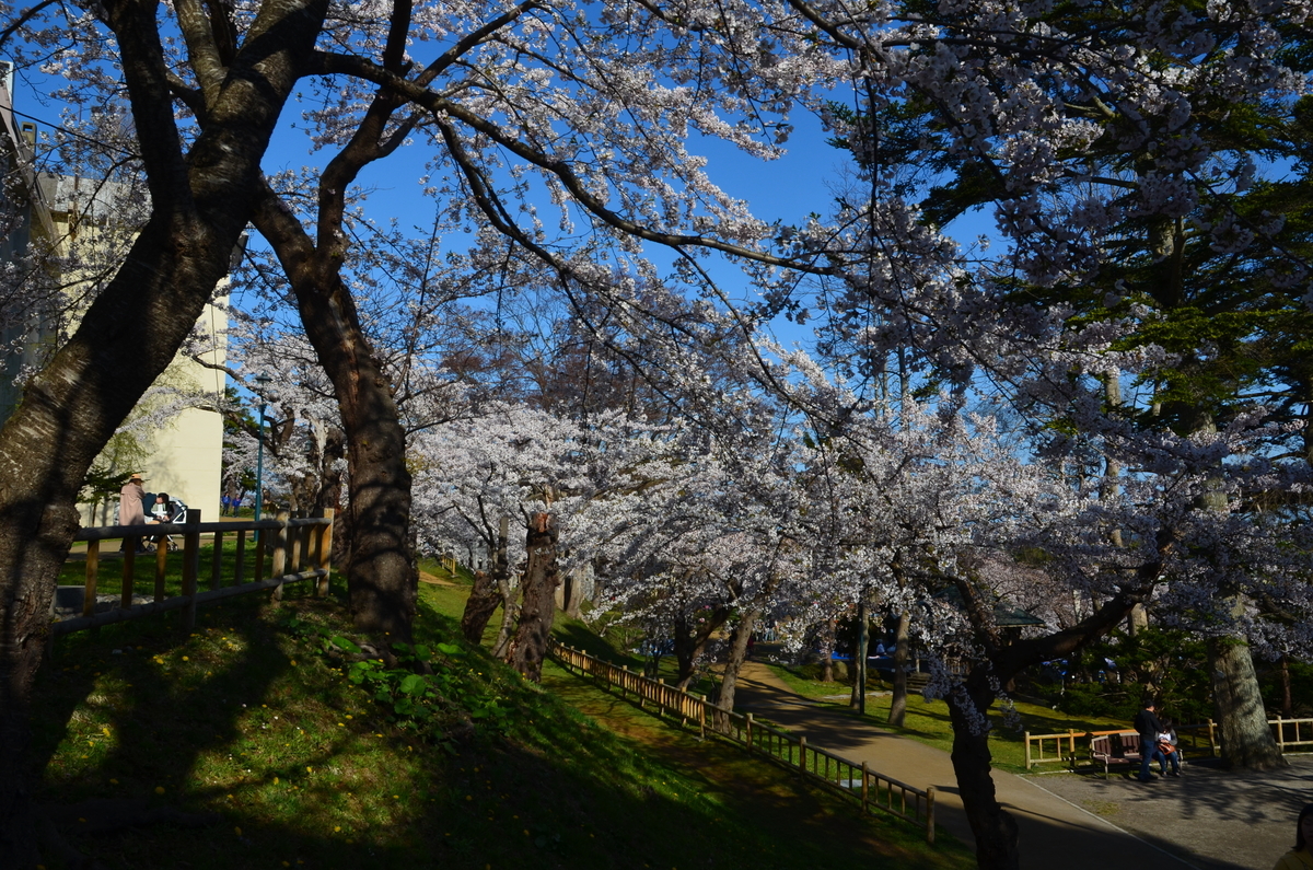 f:id:kotatusima:20190517210423j:plain f:id:kotatusima:20190517210423j:plain