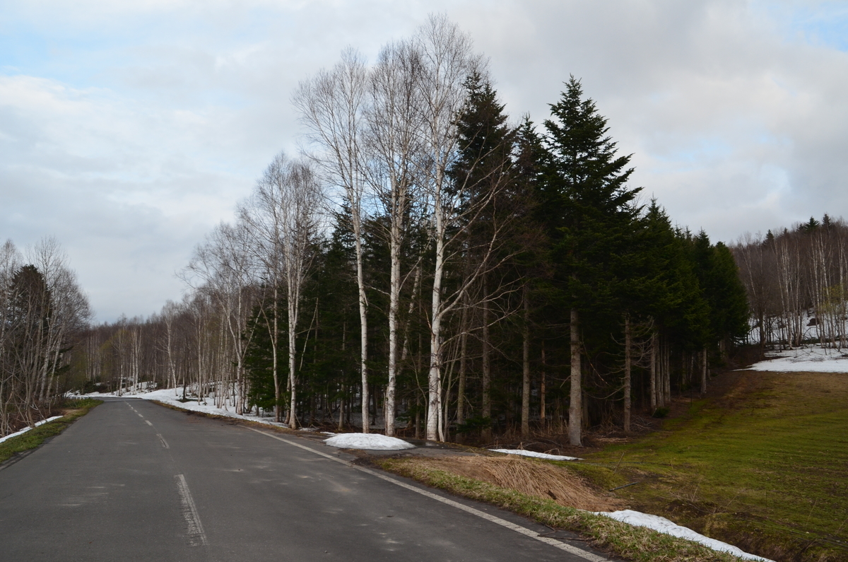 f:id:kotatusima:20190529140827j:plain