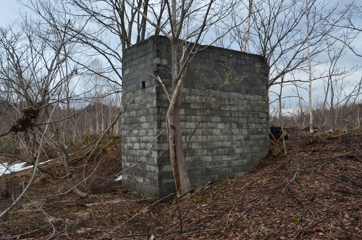 f:id:kotatusima:20190529140845j:plain