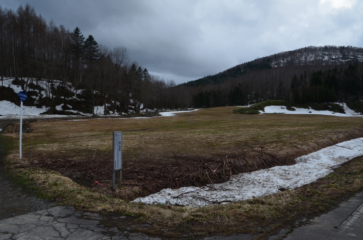 f:id:kotatusima:20190529141059j:plain